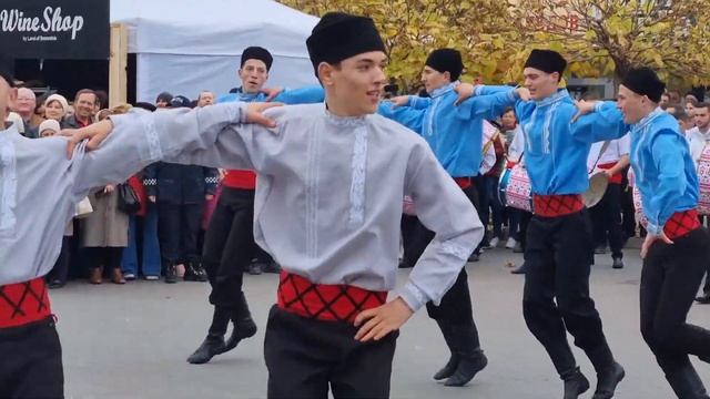 Фестиваль вина в Гагаузии 2022: подворья, вкуснейшие гаг смотреть онлайн