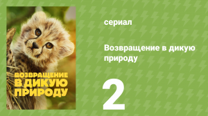 Возвращение в дикую природу 1 сезон 2 серия (документальный сериал, 2025)