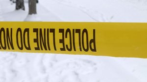 Подозреваемый в стрельбе в офисе шерифа в Айдахо мертв