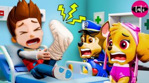 Щенячий патруль и Маршалл. Залипательное видео. Мультфильм для детей и малышей. Анимация 19
