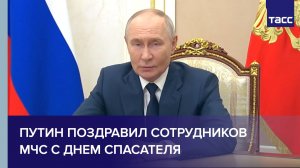 Путин поздравил сотрудников МЧС с Днем спасателя
