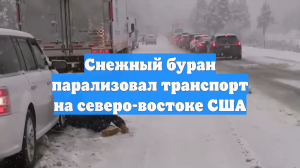 Снежный буран парализовал транспорт на северо-востоке США