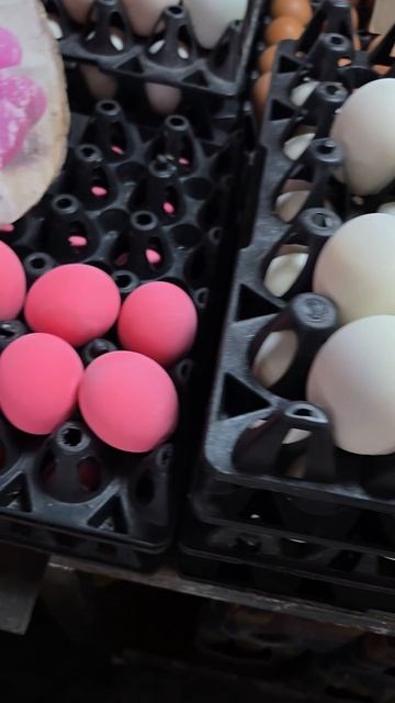 Яйца на тайском рынке. Цветные -это не Пасха, это тысячелетние ферментированные