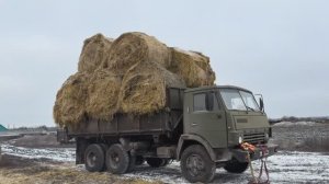 Как мы солому везли и заблудились в полях 😀предпраздничный завоз жома животноводству