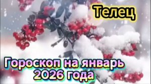 Телец! Гороскоп на январь 2026 года!