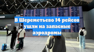 В Шереметьево 14 рейсов ушли на запасные аэродромы