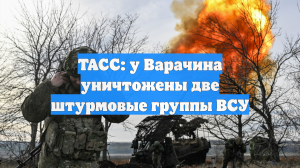 ТАСС: у Варачина уничтожены две штурмовые группы ВСУ