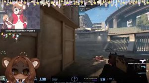 НОЧНОЙ МЕДИК СНОВА НА СВЯЗИ🤤 МЕДВЕДЬ СОННАЯ МУХА😮🐻 НОВОГОДНИЙ РОЗЫГРЫШ❄️☃️ В !ТГ🍯