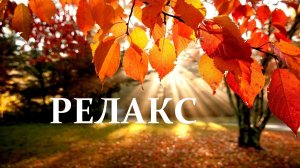 Расслабляющая музыка для осени - 65 минут релаксации.