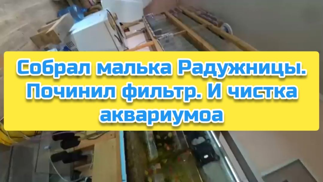 Собрал малька Радужницы. Починил фильтр. И чистка аквариумоа смотреть онлайн
