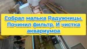 Собрал малька Радужницы. Починил фильтр. И чистка аквариумоа