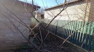 Заполненная чаша на сливе