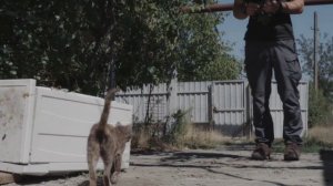 Трейлер документального фильма "Свой/Чужой" про американца Дэниела Мартиндейла