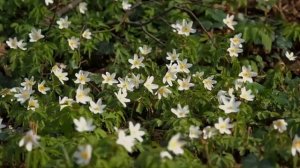 В-детдом-приехали-спонсоры-и-в-их-честь-_20