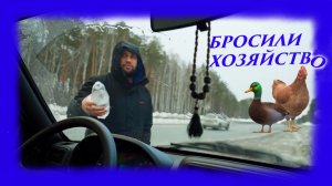 ЗАИМККА НА УРАЛЕ - БРОСИЛИ ХОЗЯЙСТВО