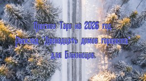Прогноз Таро на 2026 год. Расклад "Двенадцать домов гороскопа" для Близнецов.