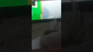 играем в украдите брейнрот