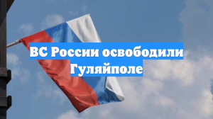 Армия России освободила Гуляйполе и Димитров