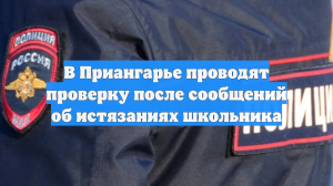В Приангарье проводят проверку после сообщений об истязаниях школьника