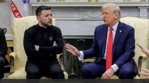 CNN узнал об ожиданиях представителей ЕС от итогов встречи Зеленского и Трампа