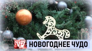 ВОЛГОГРАДЦЫ ПОДВОДЯТ ИТОГИ И ДЕЛЯТСЯ ПЛАНАМИ НА 2026 ГОД