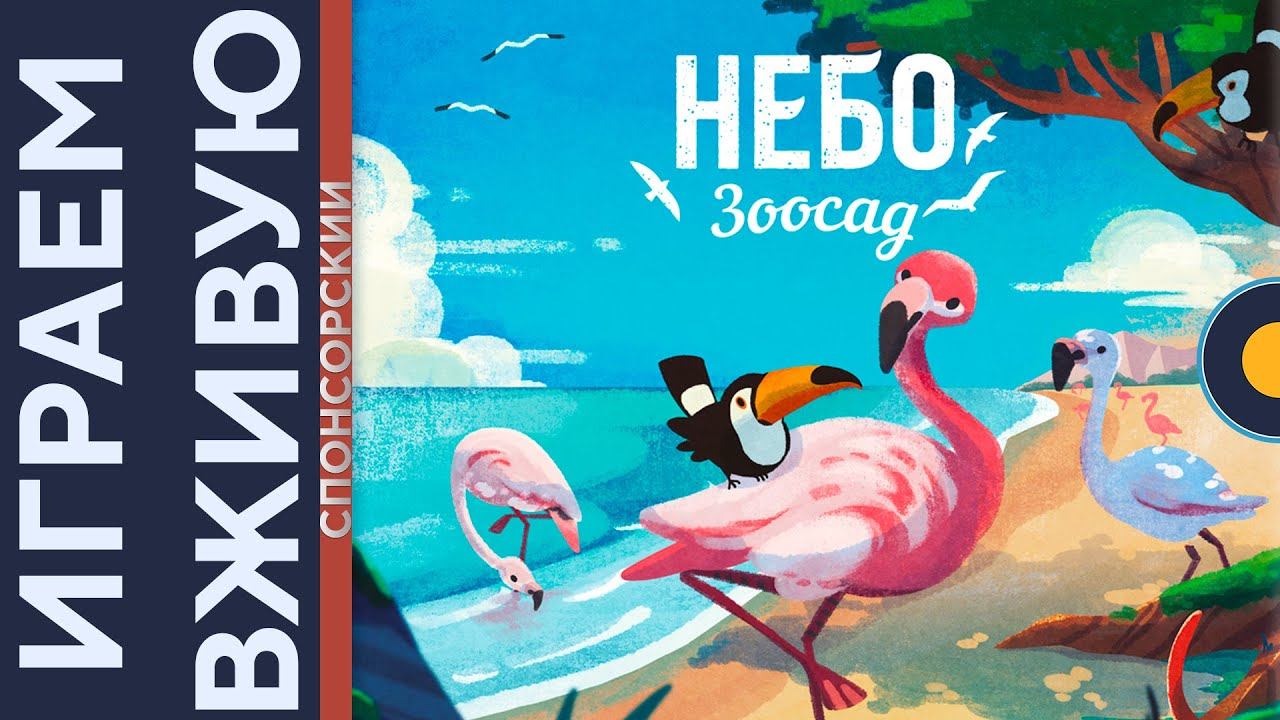 Зоосад. Небо  Играем вживую