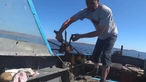 Навытаскивал из моря червяков якорем-кошкой,и поехал ловить треску!Как вялят рыбу на острове Кузова!
