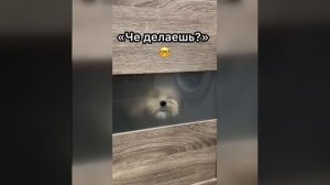 Видео от МЭН - Мне Это Нравится