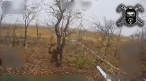 Были да сплыли №55