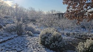 зима в дивной локе