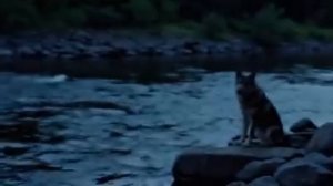 Мачеха_Оставила_Парализованную23