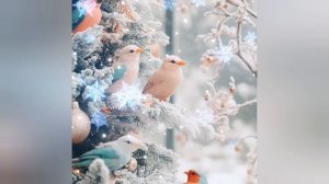 Зима.Релакс.