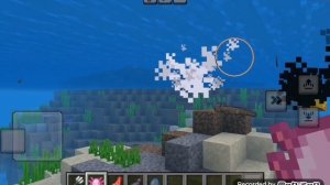 Интересный факт про майнкрафт №1