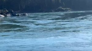 Катунь - река жизни