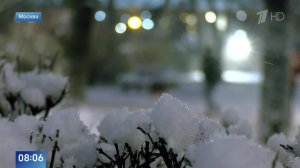 Звенит январская вьюга: Москву на новогодние праздники накроет снегопад.