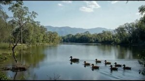 ДЕРЕВНЯ Смешная шуточная песня с клипом