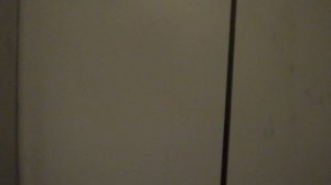 Пассажирский лифт V=0,71 м-с, Q=320 кг (5286)