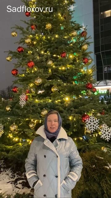 С Новым Годом!!! смотреть онлайн