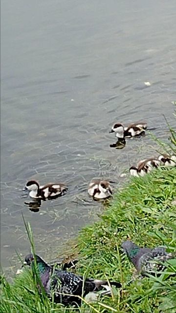 Дружеская атмосфера