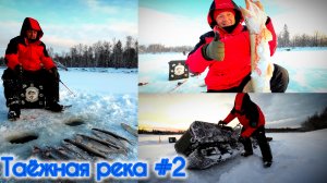 РЫБАЛКА  НА ТАЁЖНОЙ РЕКЕ