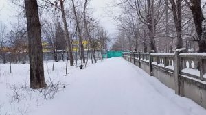 Зимняя прогулка.Ищем ковёр/Готовлю блюдо "Новогодние мешочки деда Мороза"/Жизнь в провинции//