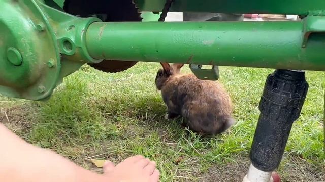 БЕДНЫЙ ДЖОН | СРОЧНО УЕЗЖАТЬ | ЗАМУЖ В США смотреть онлайн