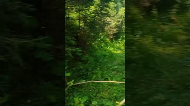 поездка Кызыреева