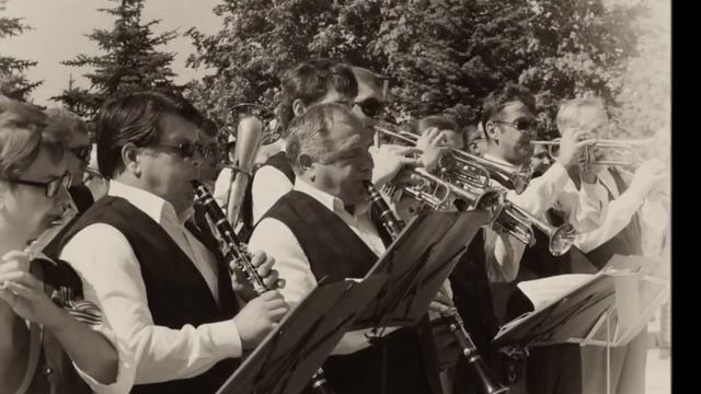 "В городском саду." Владимир Нечаев. смотреть онлайн