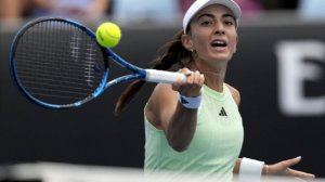 Аванесян обязали выплатить компенсацию Федерации тенниса России