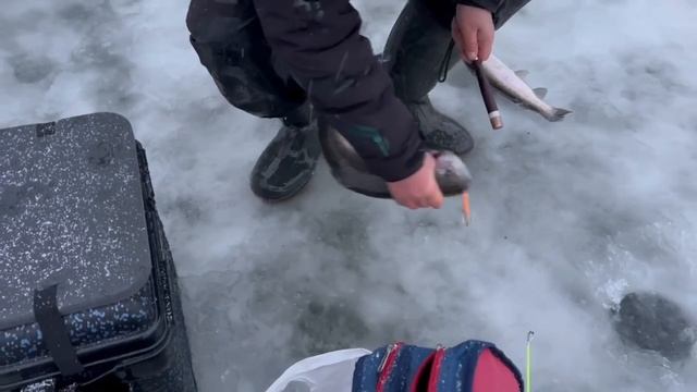 27.12.25 г. РК Волна смотреть онлайн