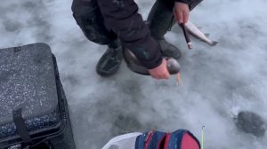 27.12.25 г. РК Волна