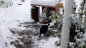 Нас снегом завалилоУра