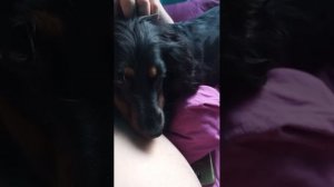 Мы здесь!😉👍