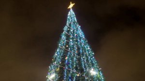 Вандалы разгромили новогоднюю елку в Приморье